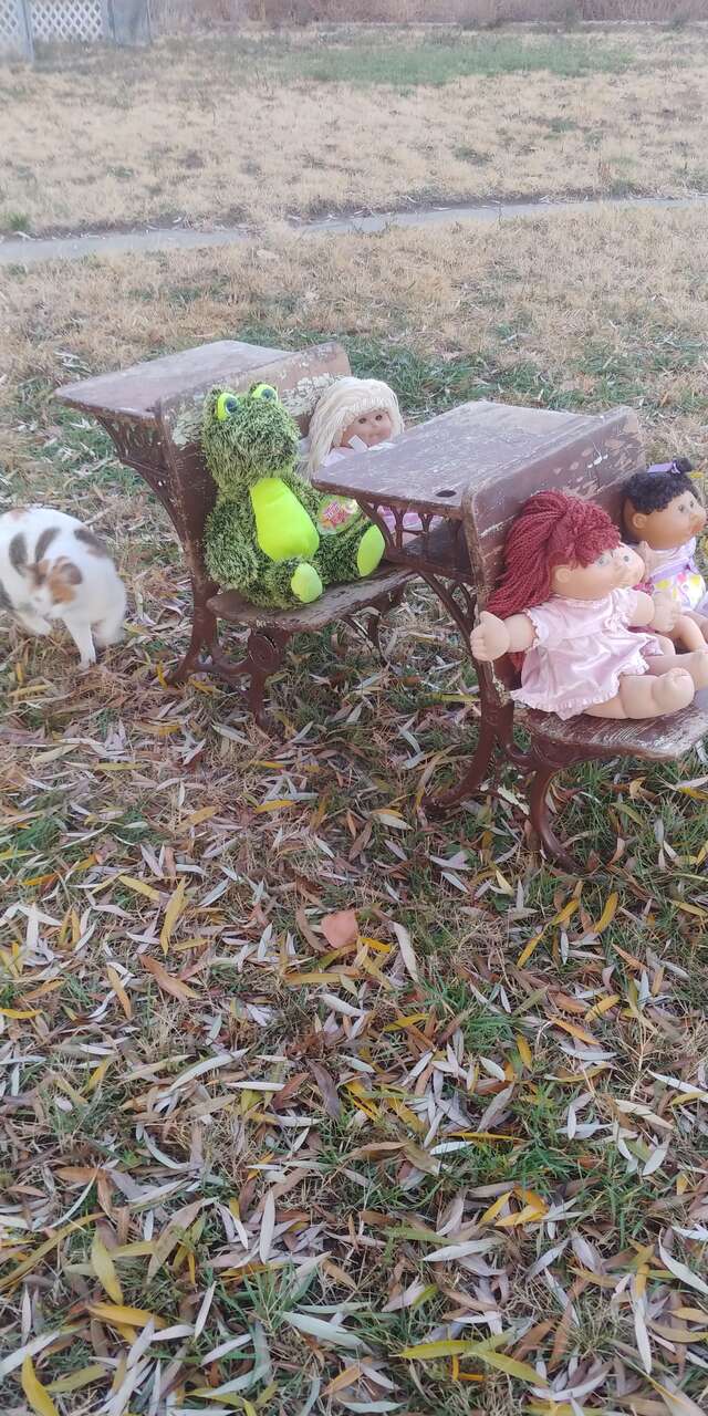 Antique/Vintage School Desk Small Size