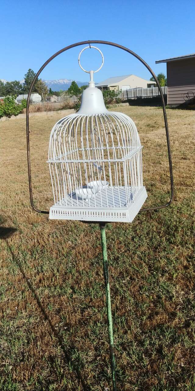 Vintage Bird Cage With Stand