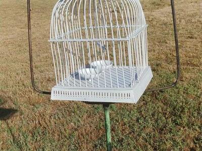 Vintage Bird Cage With Stand