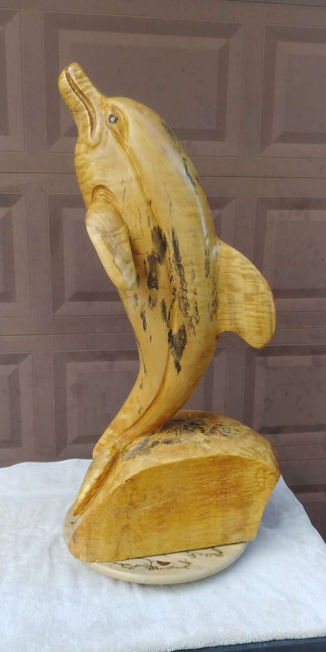Burl Wood Extra Large Dolphin Statue