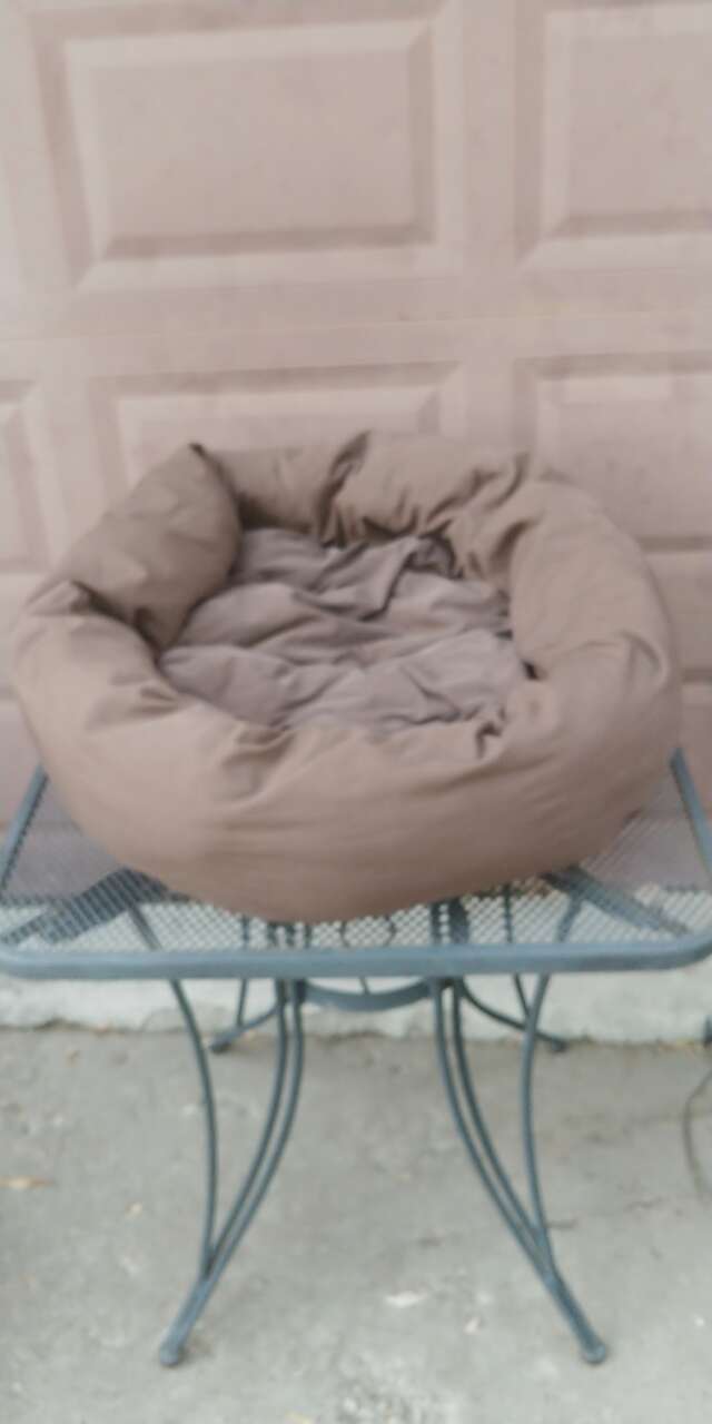 Brown Dog Bed W/ Removable Cushions