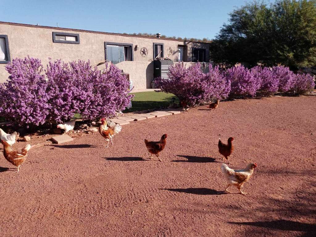 Home for sale Other Real Estate