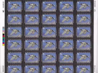 JDS20 2012 US Junior Duck Stamp FULL SHEET Plate # 000532 - Mint OG NH