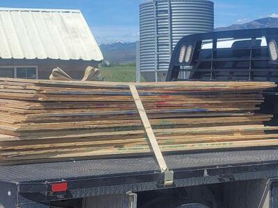 Used Plywood