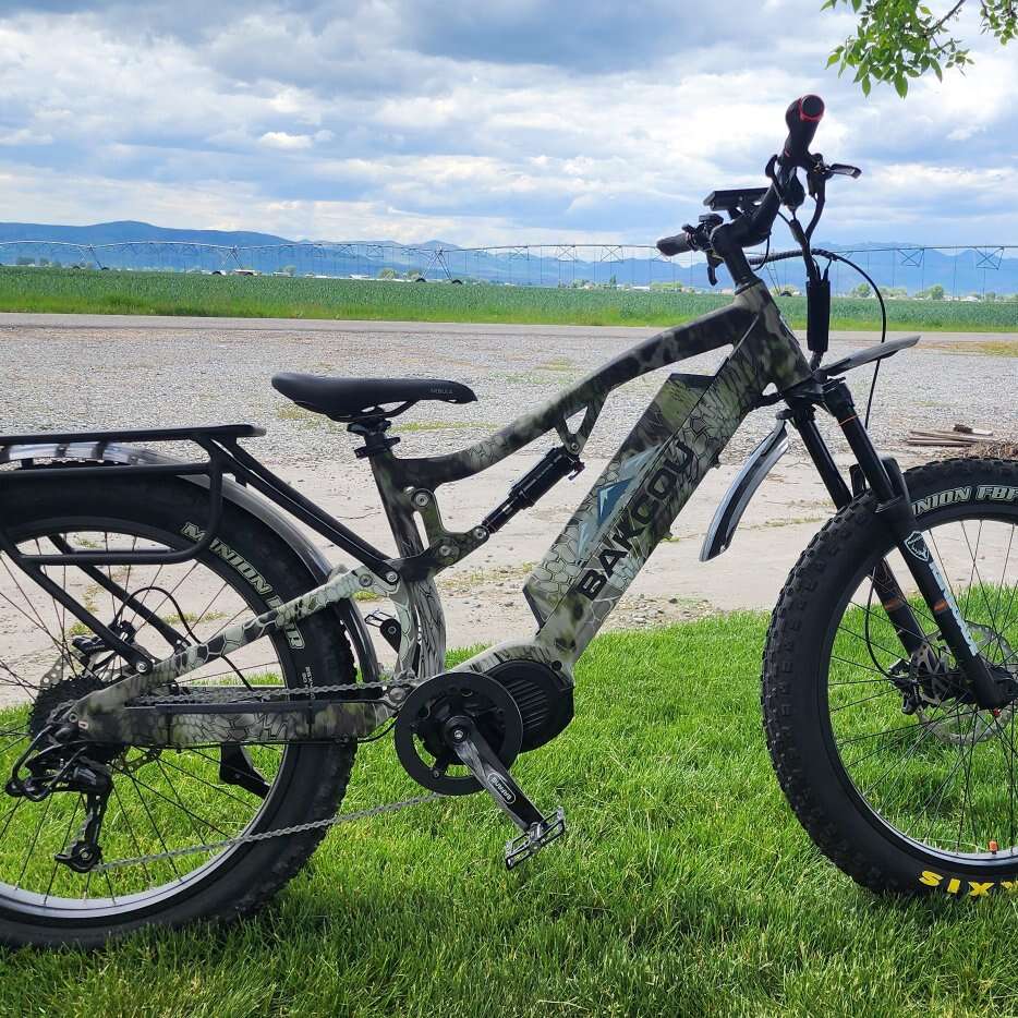 Bakcou Storm E-Bike