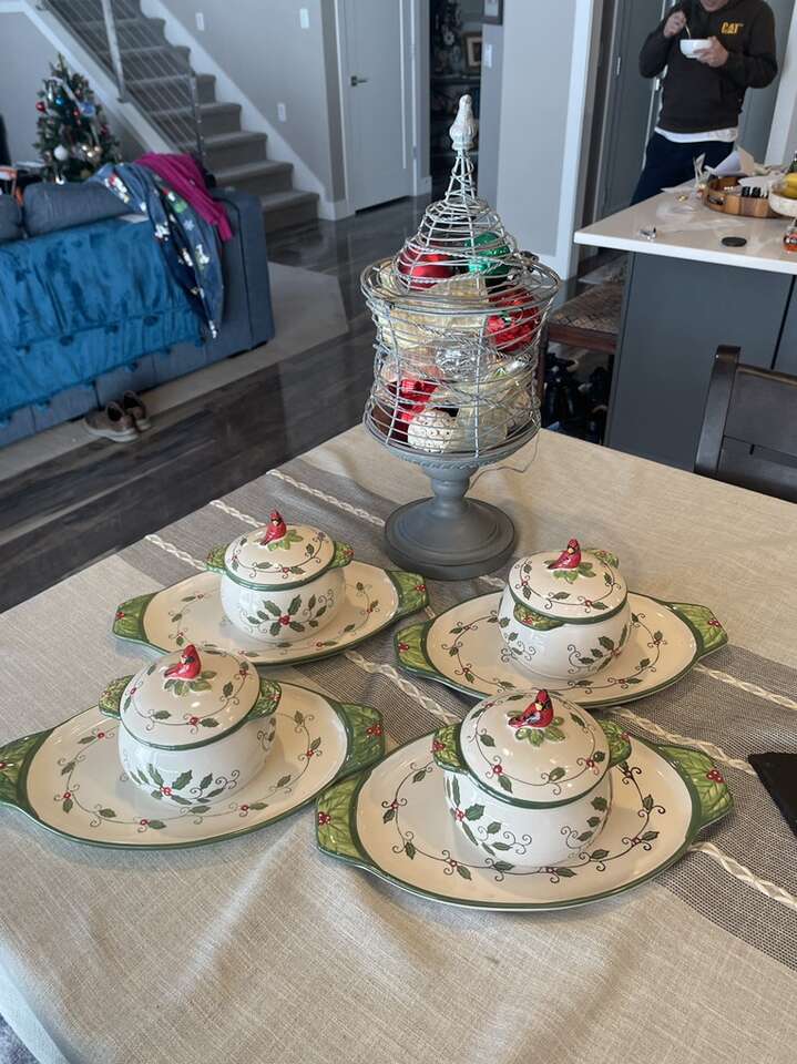 Temptations By Tara Cardinal Soup Bowl Set