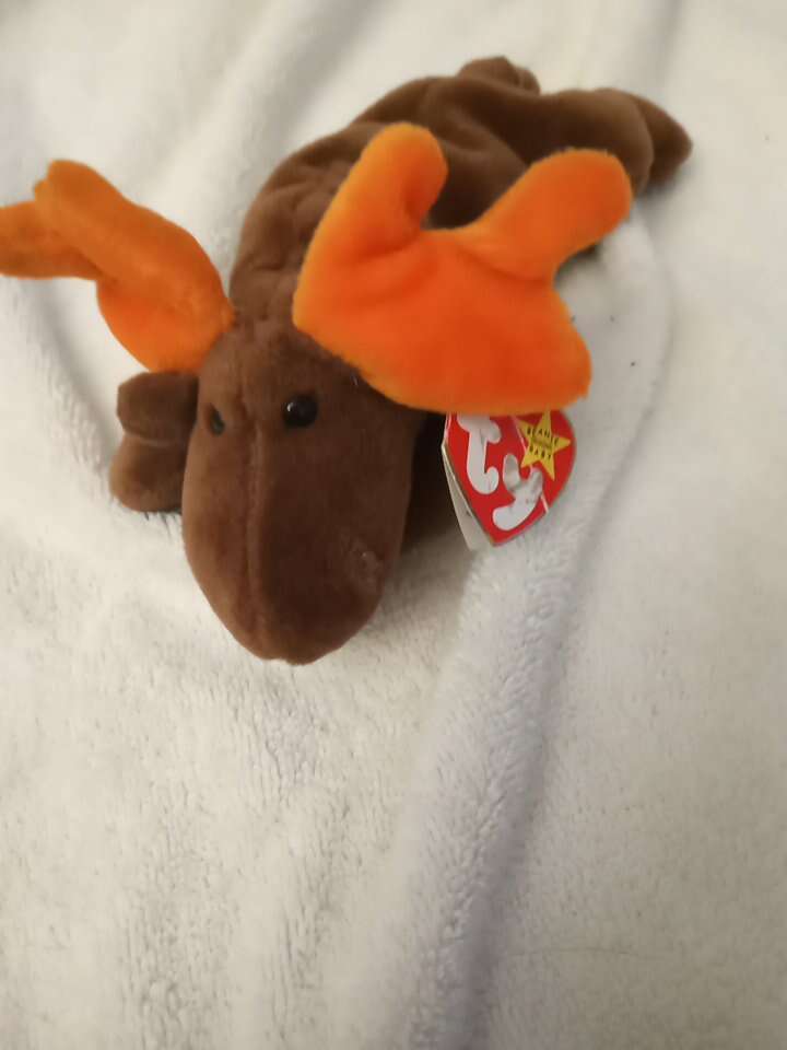 Chocolate The TY Baby Moose retired
