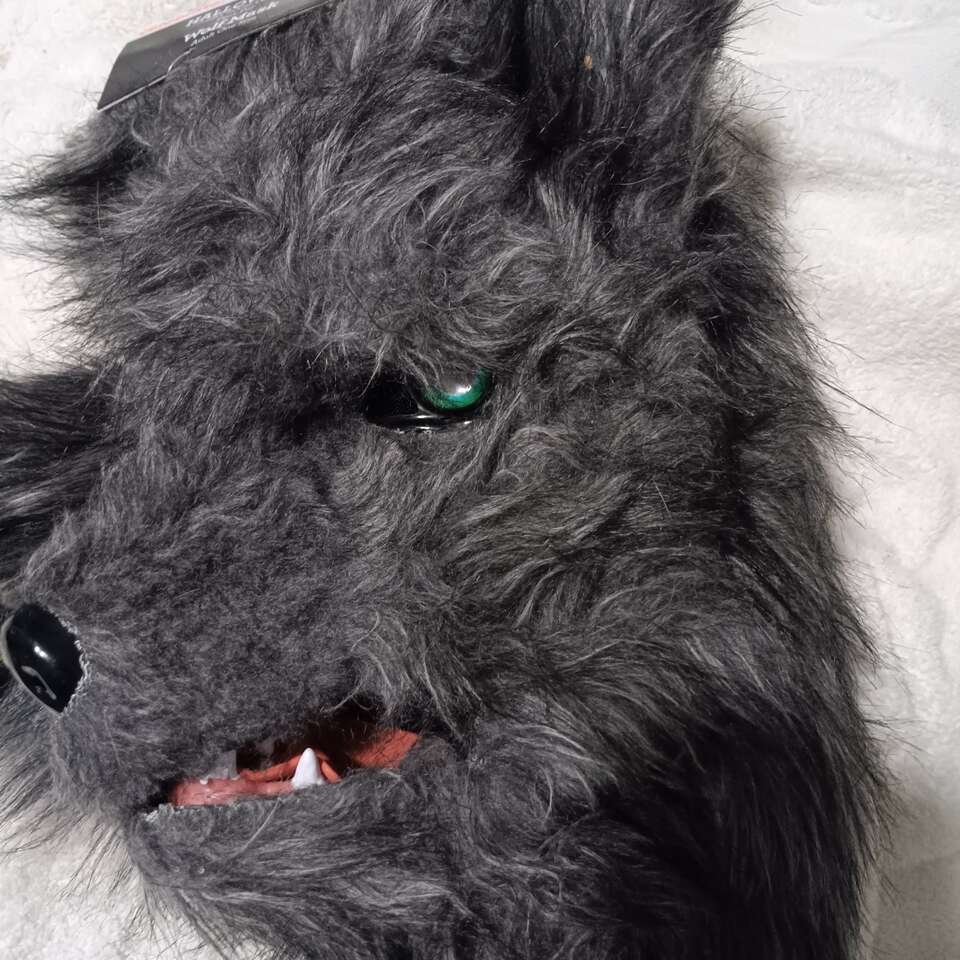 Halloween Adult Wolf Mask