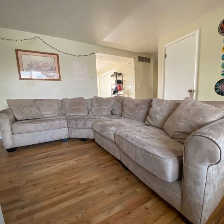 Sectional Couch Furniture