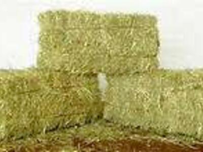 Straw, Alfalfa, Grass, and Alfalfa/Grass Hay at the IFA in Draper