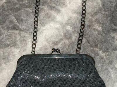 Express Evening Bag Clutch Micro Sequined Snap Clo