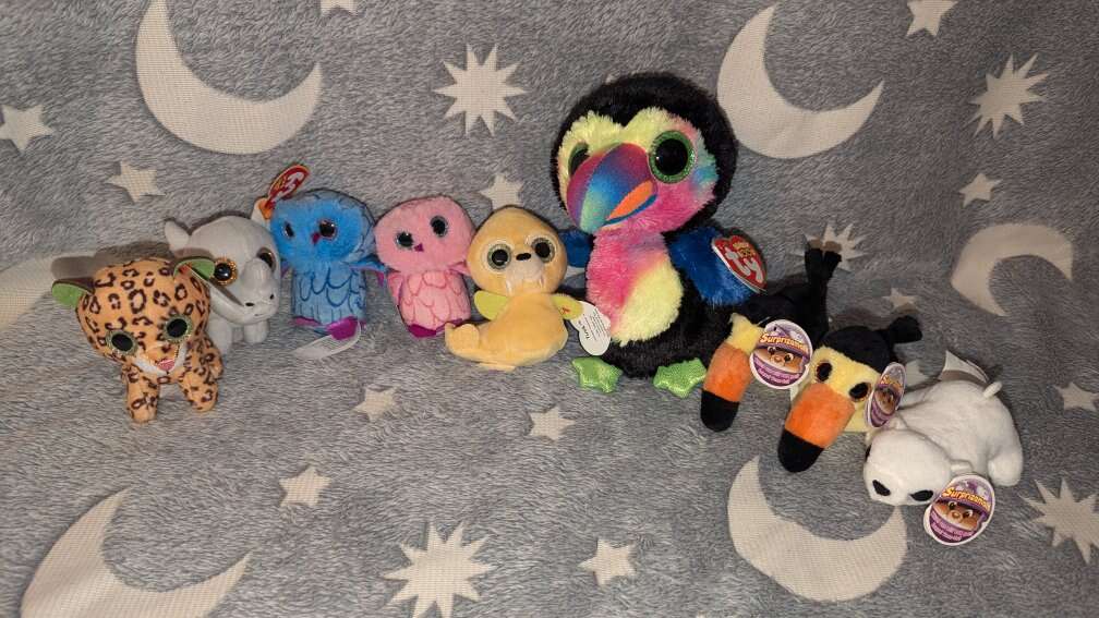 Lot of Beanie Boos and Surprizamals

All brand new
