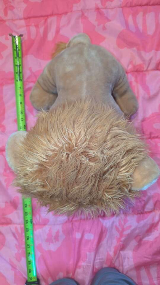 18 inch Louie the Lion Ty Beanie Boo.

He is in go