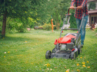 Mobile Small Engine Medic Service Repair