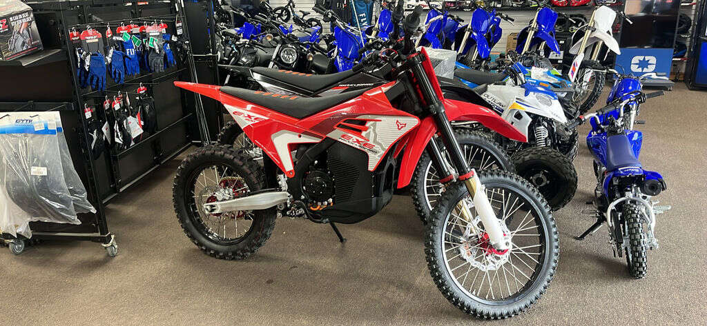 2024 Arctic Leopard E-XE 800