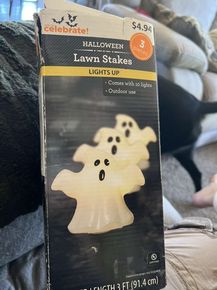 Halloween Ghost Yard Stakes