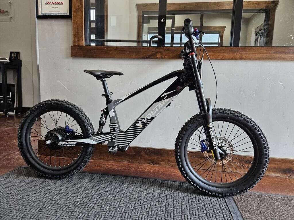 Voltaic Youth Electric Dirt Bike 20'' Flying Fox Compare to Stacyc Voltaic 2024