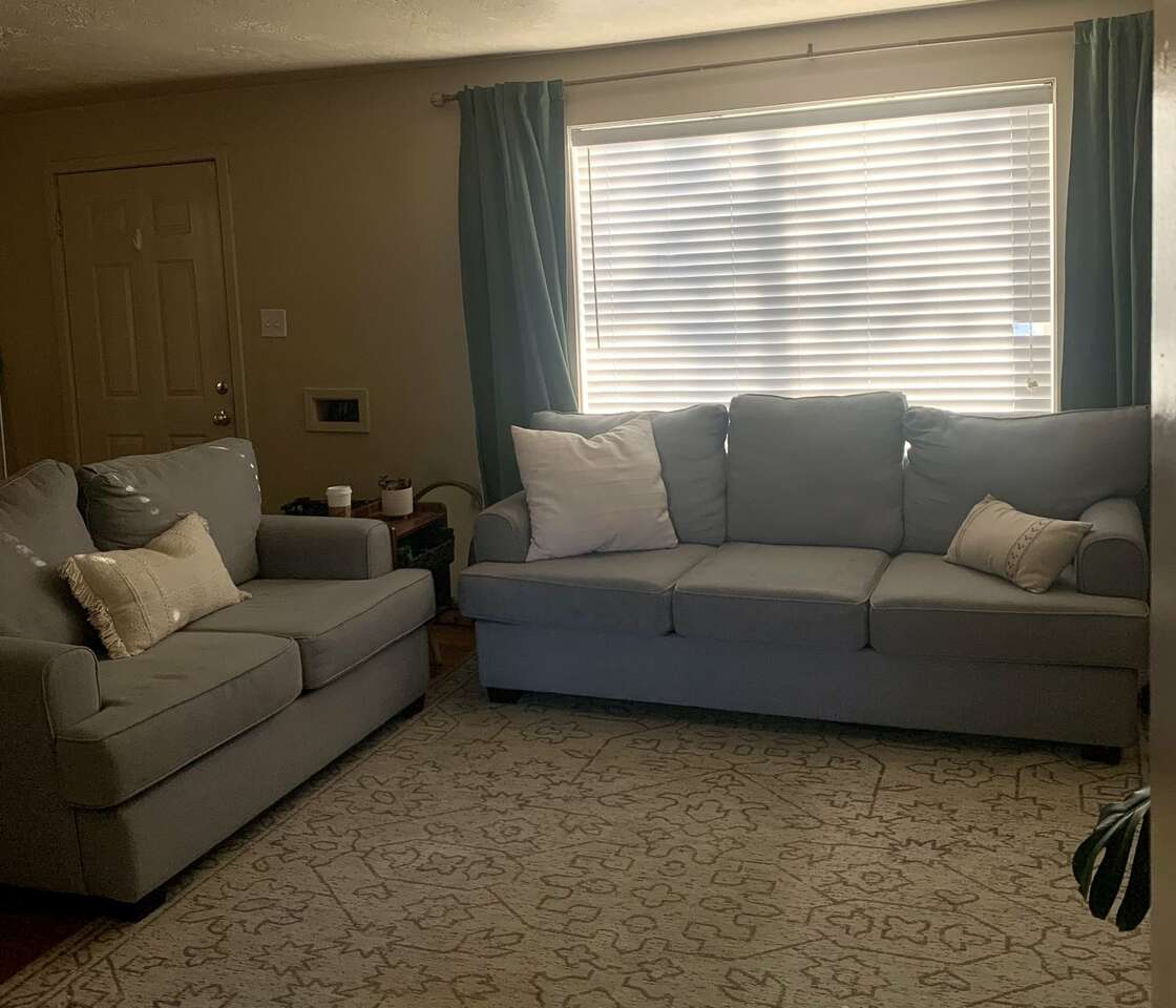 Couch + Loveseat Furniture