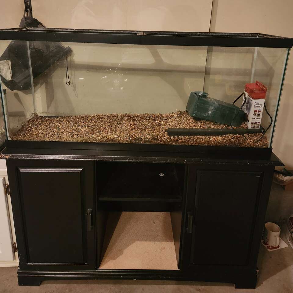 55 gallon tank and stand Pets