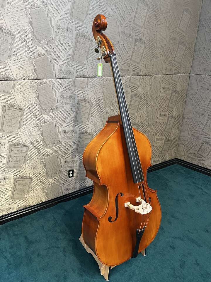 Panetto Strings String Bass Model 130