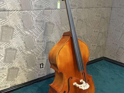 Panetto Strings String Bass Model 130