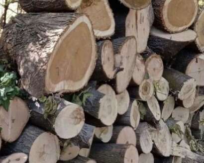 ISO Wood To Clear Off Your Yard Firewood
