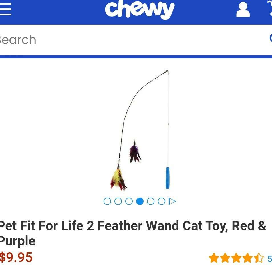 30 inch 2 feather cat wand toy
