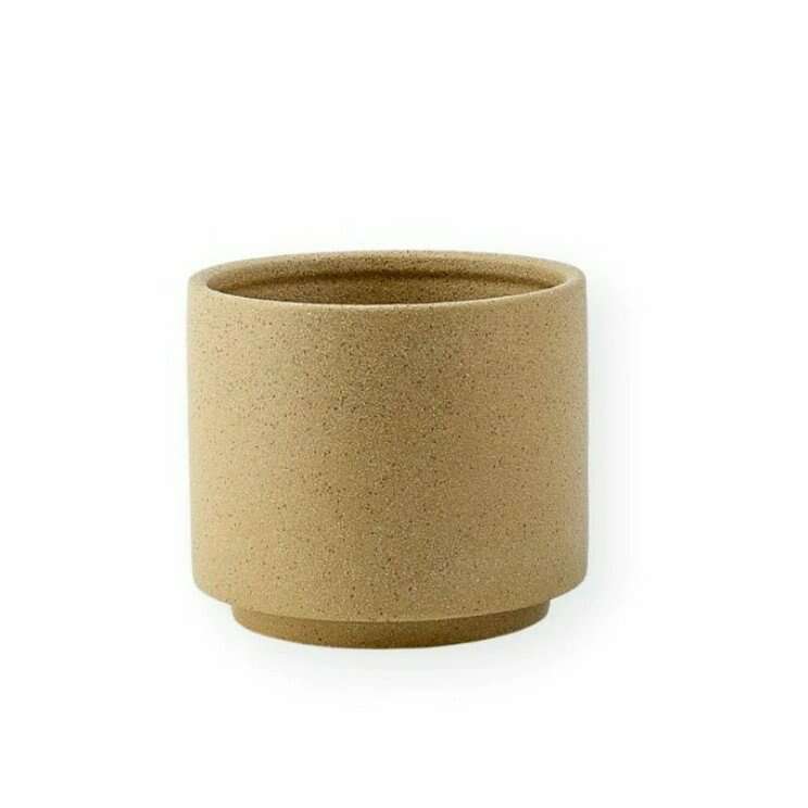 Decluttered 6" textured ceramic planters