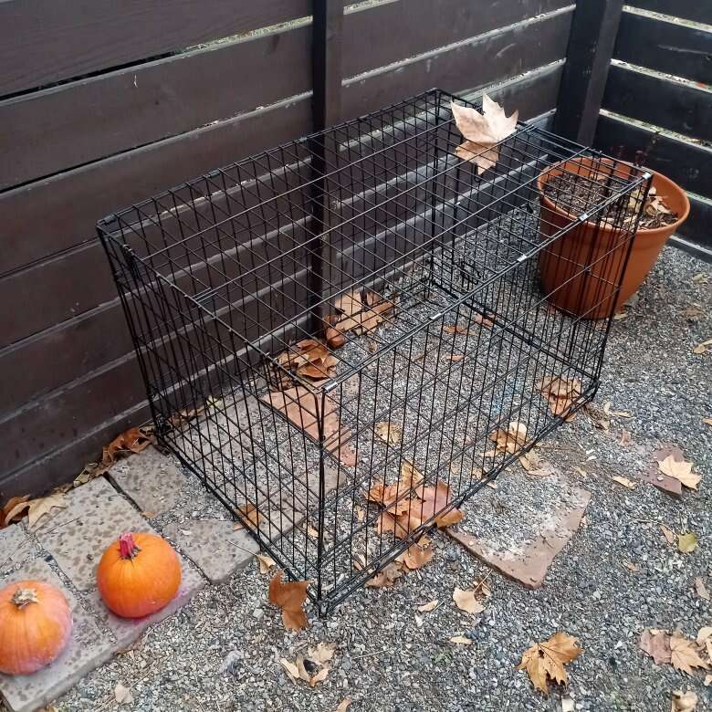 Large dog kennel Pets