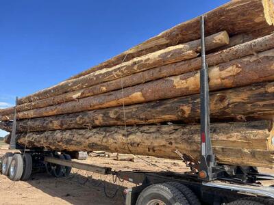 Logs For Sale