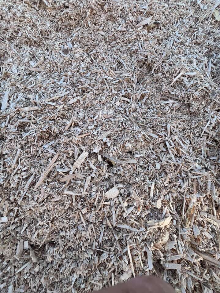 Clean Wood Chips