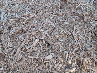 Clean Wood Chips