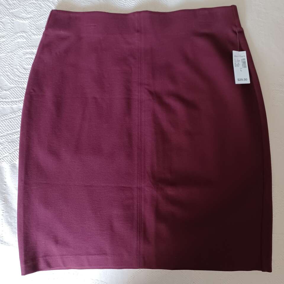 Dressbarn Skirt New