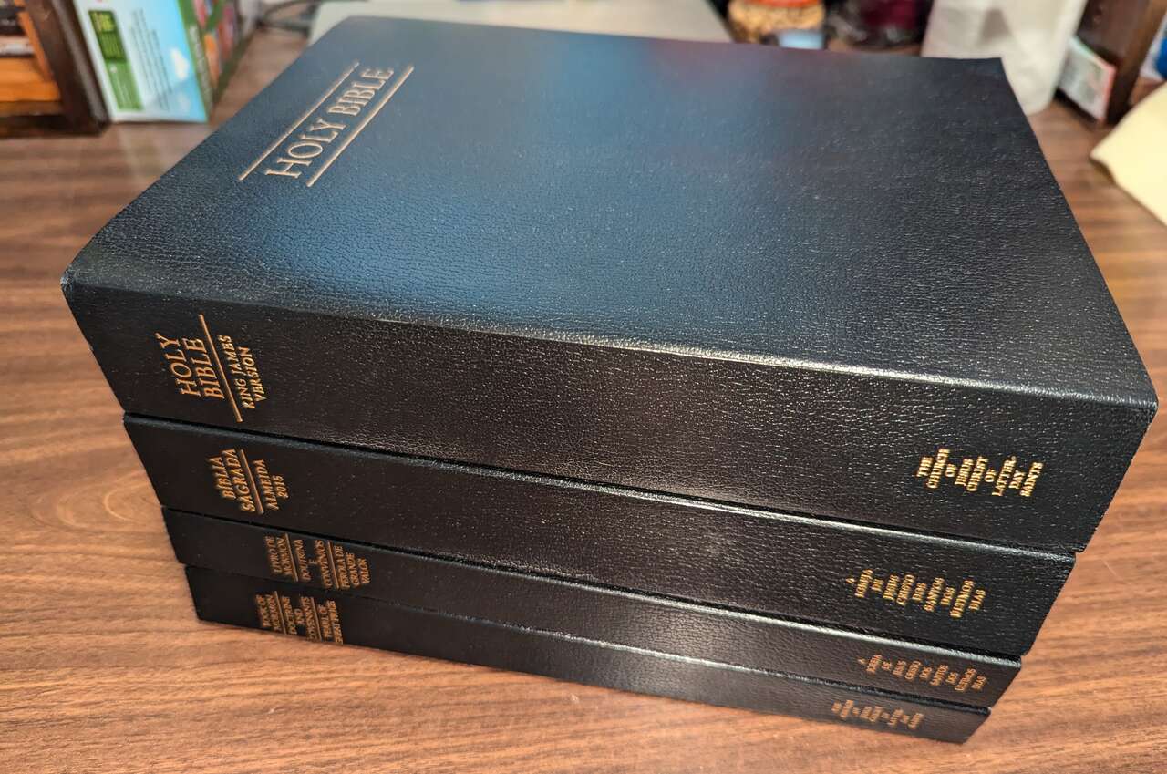 Scriptures New Large Print English & Portuguese New