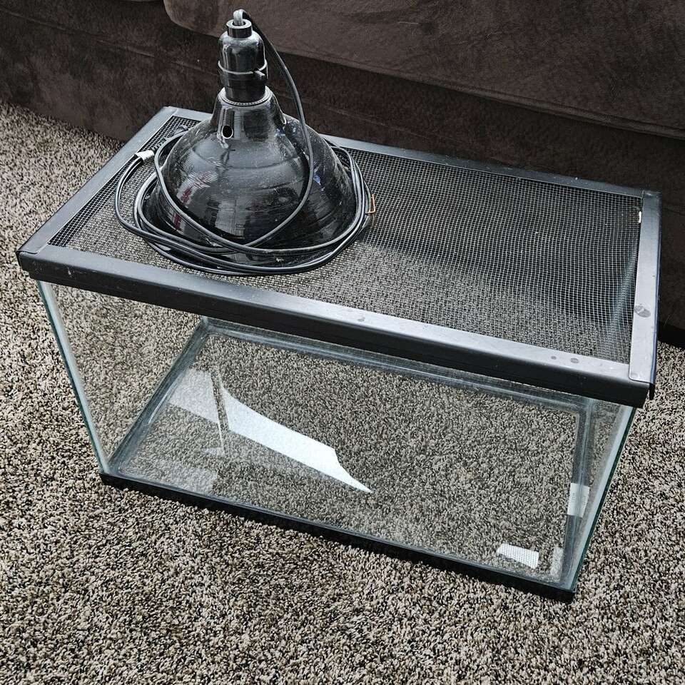 10 Gallon Reptile Tank Pets