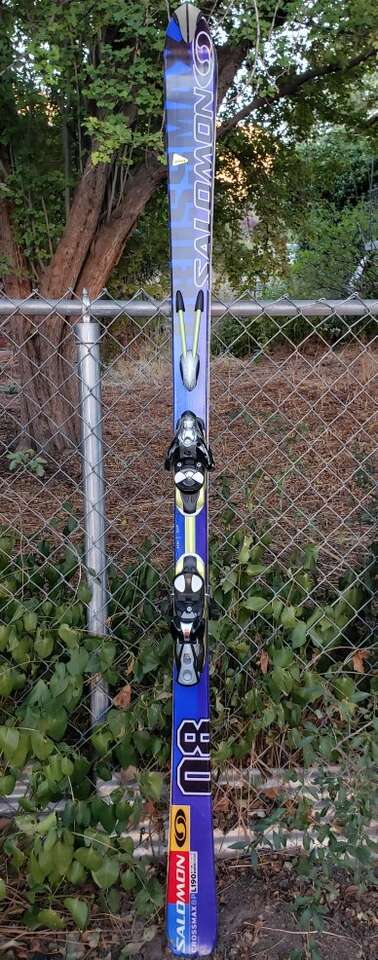 SALOMON SKIS CROSS MAX 8P  L190 monocoque J113 461