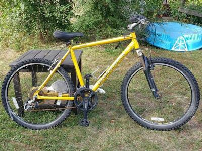 DIAMOND BACK SORRENTO BIKE BICYCLE FRAME
we're sel