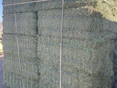 Premium Heavy 2 String Alfalfa Hay