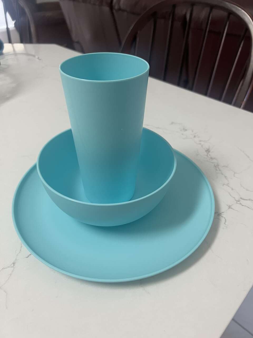 Plastic ware dinner plate, bowl and drinking cup.