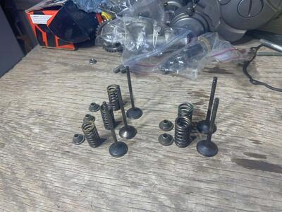 2005 Yamaha Wr 250 F Valves And Valve Springs