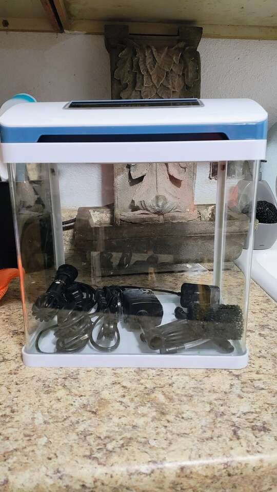 Complete 2 Gallon Aquarium Kit w/ Heater!