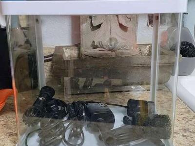 Complete 2 Gallon Aquarium Kit w/ Heater!