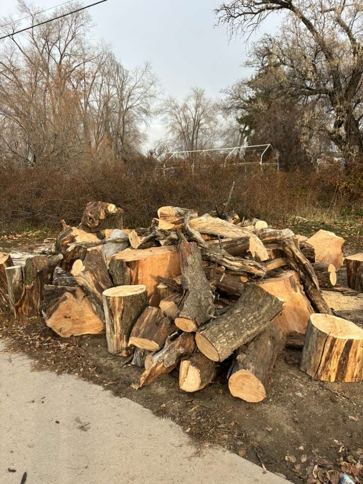 Free Firewood | FREE | ksl.com