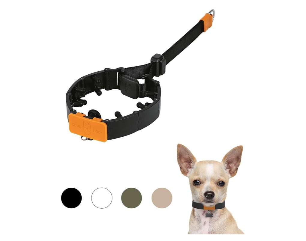 SVD Pet Prong Collar (small)