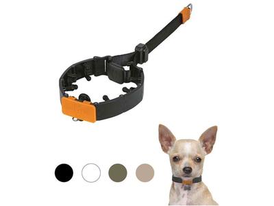 SVD Pet Prong Collar (small)