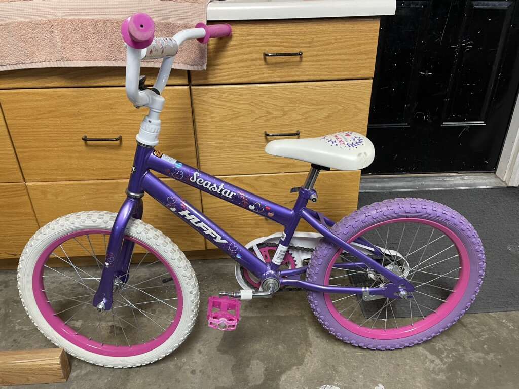 Girl’s 16 Inch Bicycle Cycling