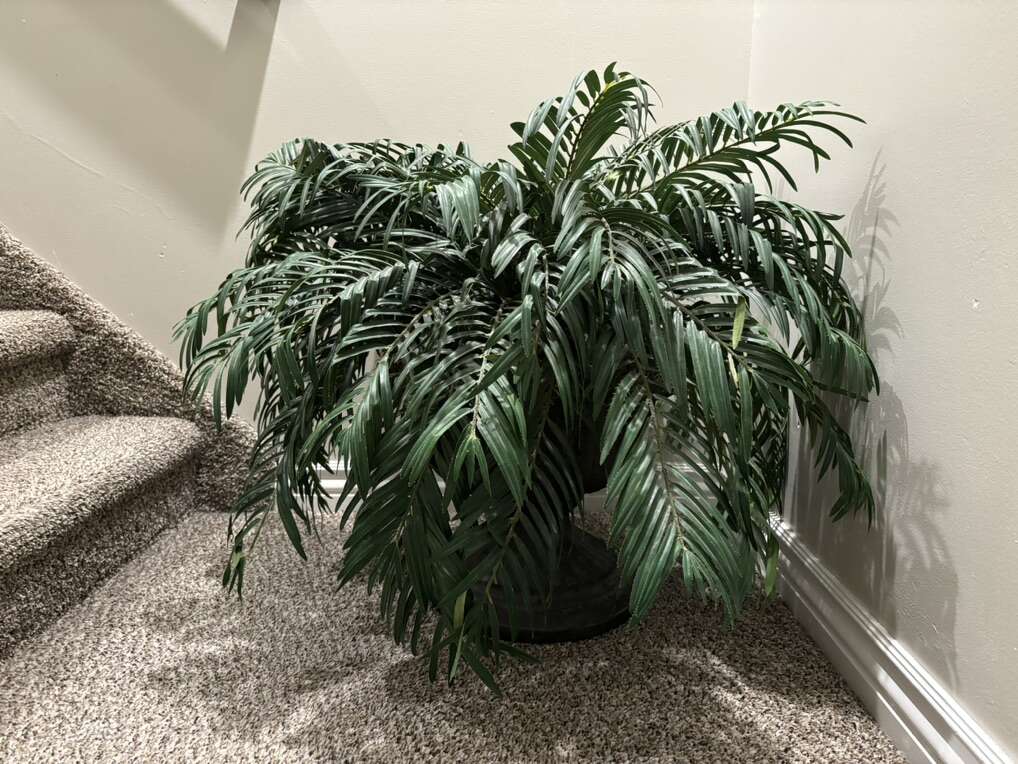Artificial Fern