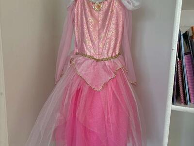 Disney Aurora Dress