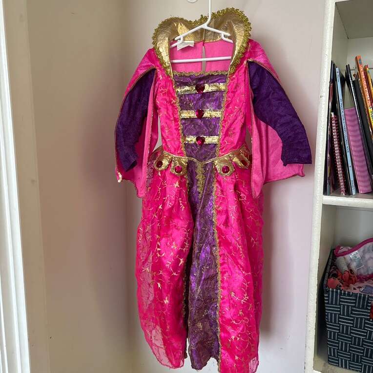 Princess Or Queen Dress