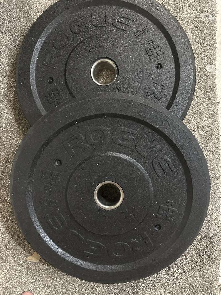 rogue 25lb mil spec Pair Bumper Plates